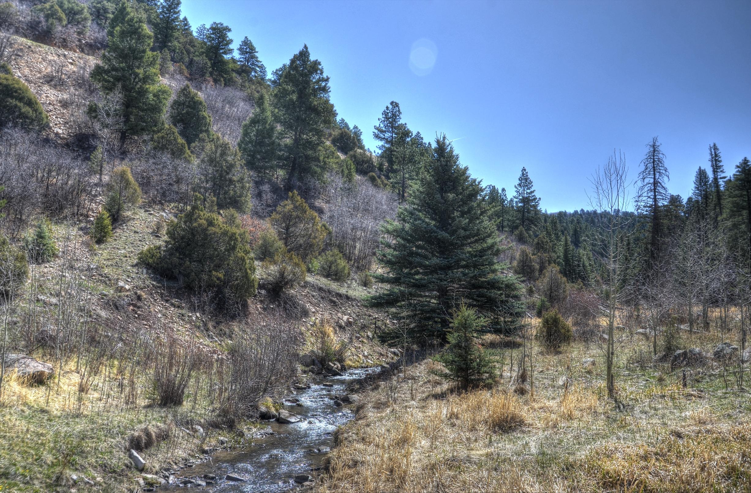 56v 56V Road Placerville, CO 81430 - Photo 1 of 12 Creek
