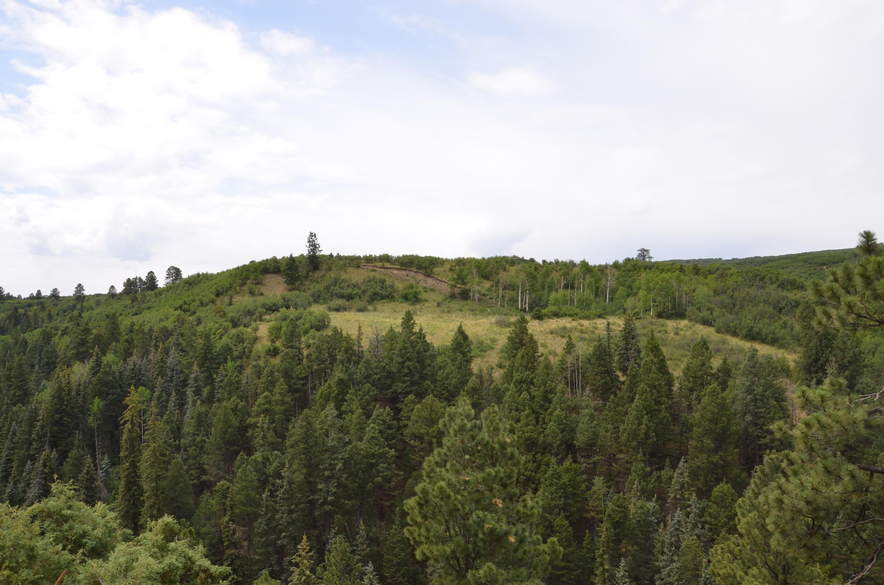 56v 56V Road Placerville, CO 81430 - Photo 2 of 12 DSC_6900