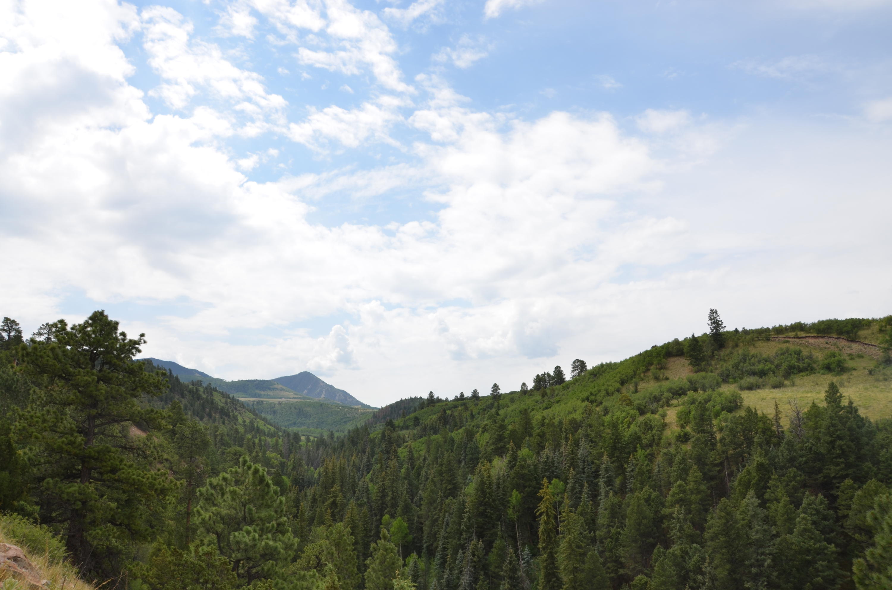 56v 56V Road Placerville, CO 81430 - Photo 3 of 12 DSC_6901