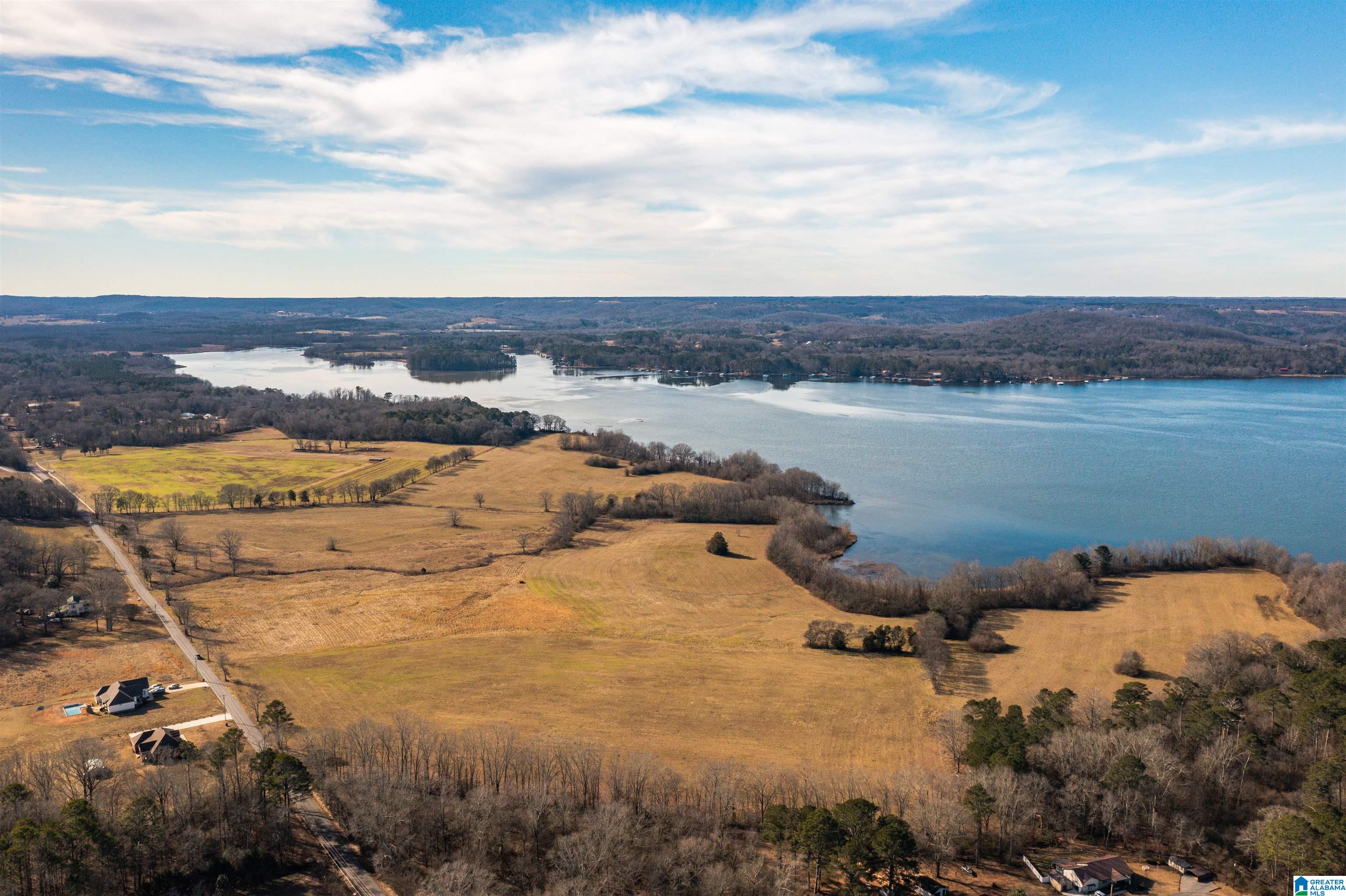 0 Browns Valley Road Guntersville, AL 35976 - Photo 5 of 39