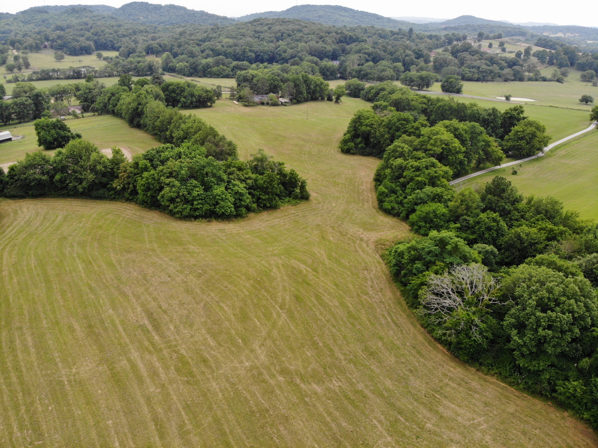 23 Peytonsville Road Franklin, TN 37064 - Photo 1 of 8 Gallery Image 1
