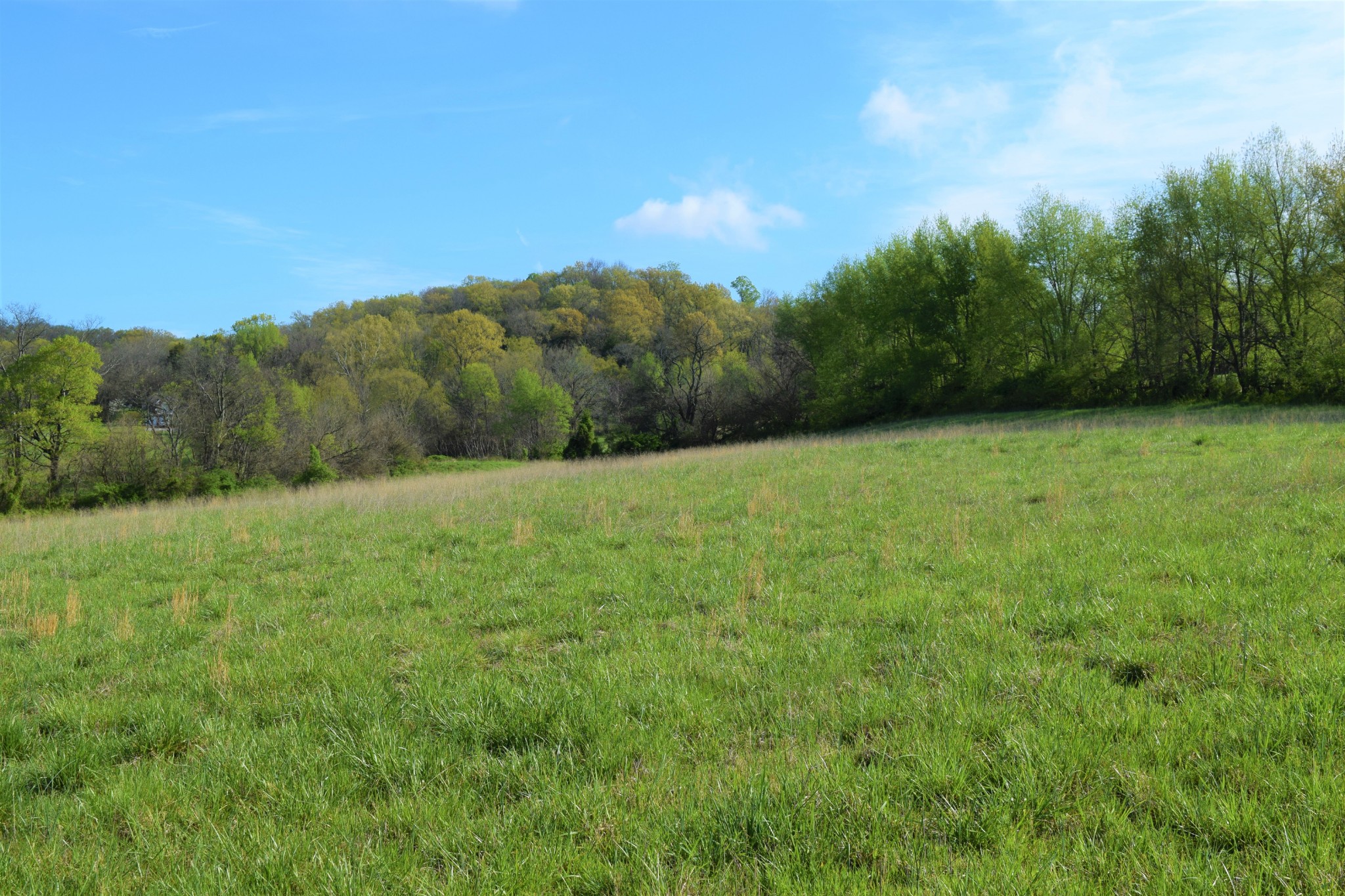 23 Peytonsville Road Franklin, TN 37064 - Photo 7 of 8 Gallery Image 7