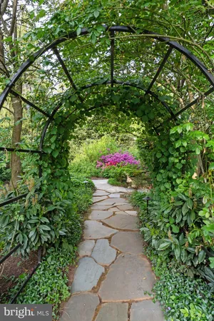 a view of a garden with plants