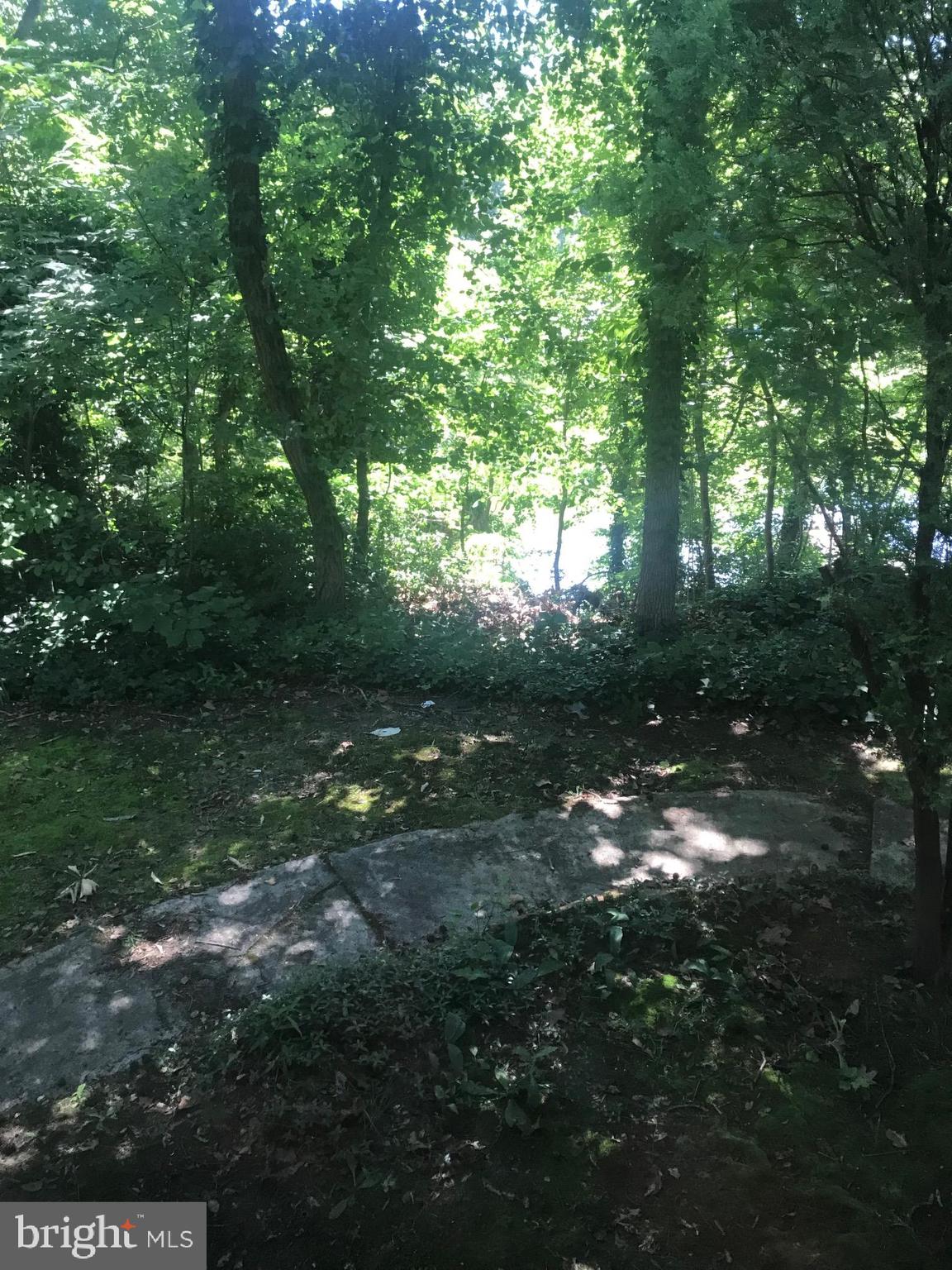 783 Dividing Road Severna Park, MD 21146 - Photo 11 of 32 Gallery Image 11