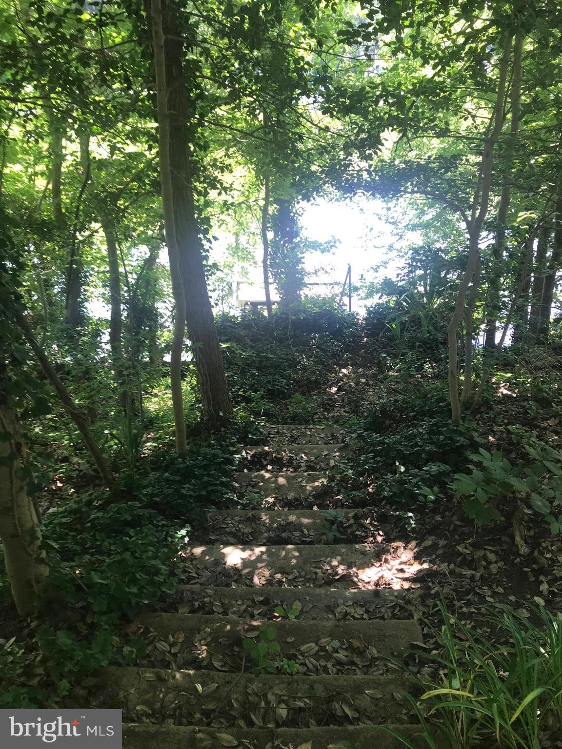 783 Dividing Road Severna Park, MD 21146 - Photo 14 of 32 Stairs down to water