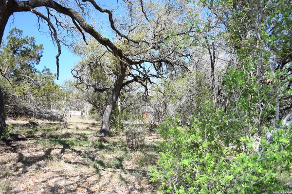 $25,000 | 1361 Hidden Valley Drive, Spring Branch, TX 78070