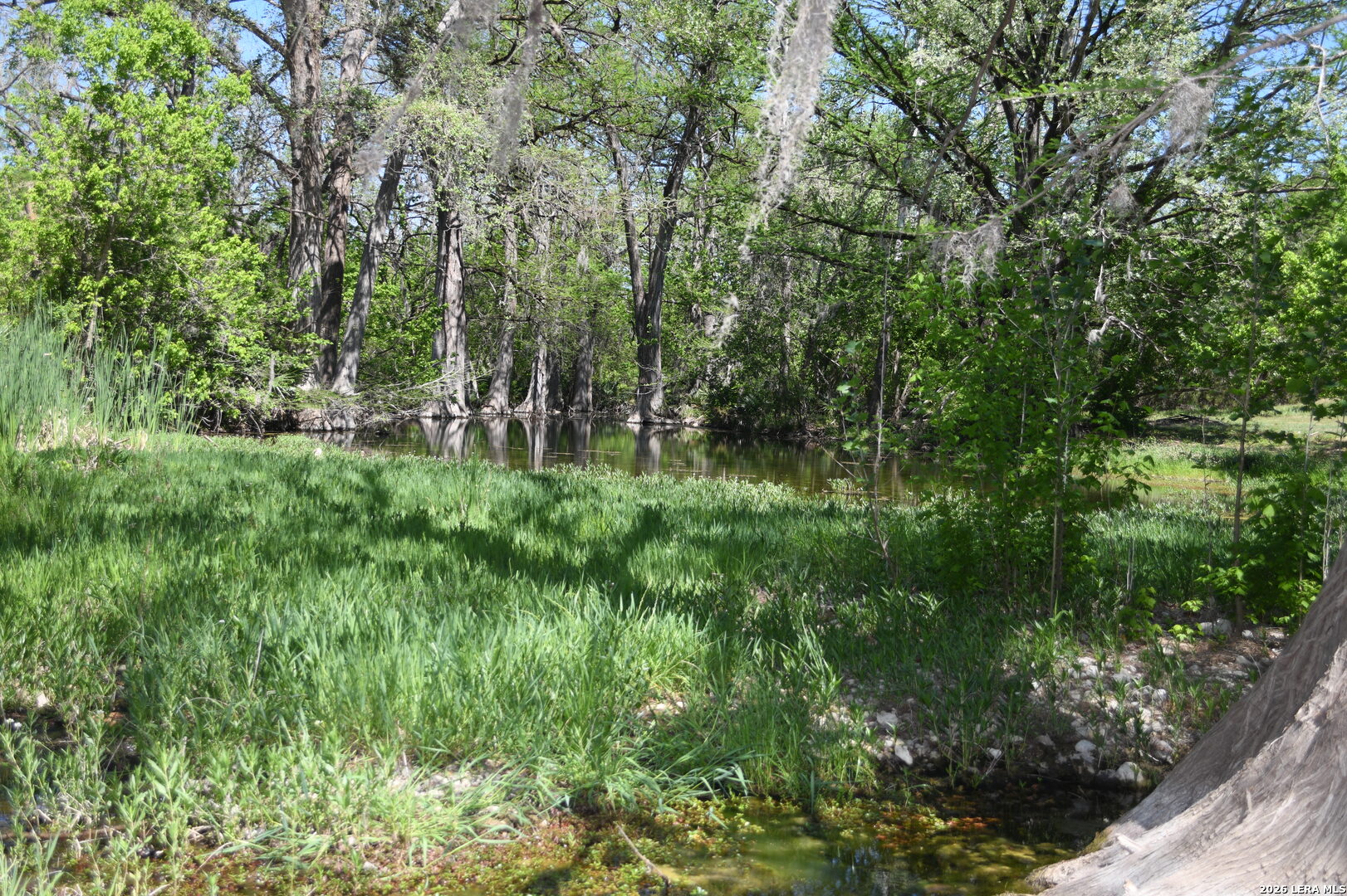 1361 Hidden Valley Drive Spring Branch, TX 78070 - Photo 11 of 28