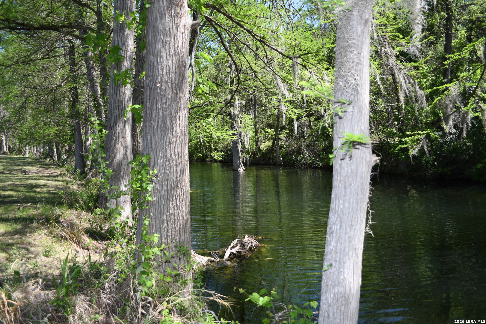 1361 Hidden Valley Drive Spring Branch, TX 78070 - Photo 16 of 28