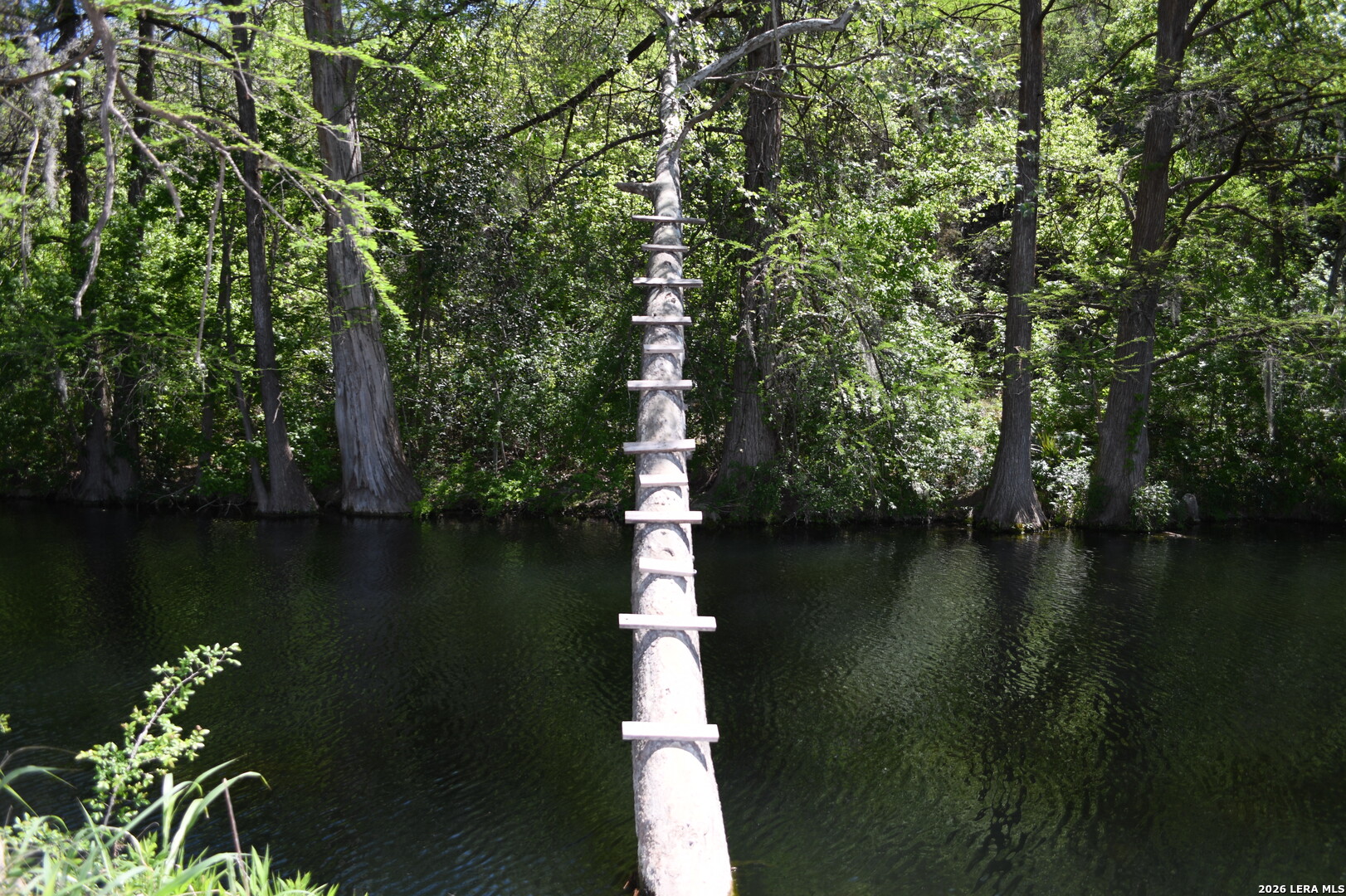 1361 Hidden Valley Drive Spring Branch, TX 78070 - Photo 19 of 28