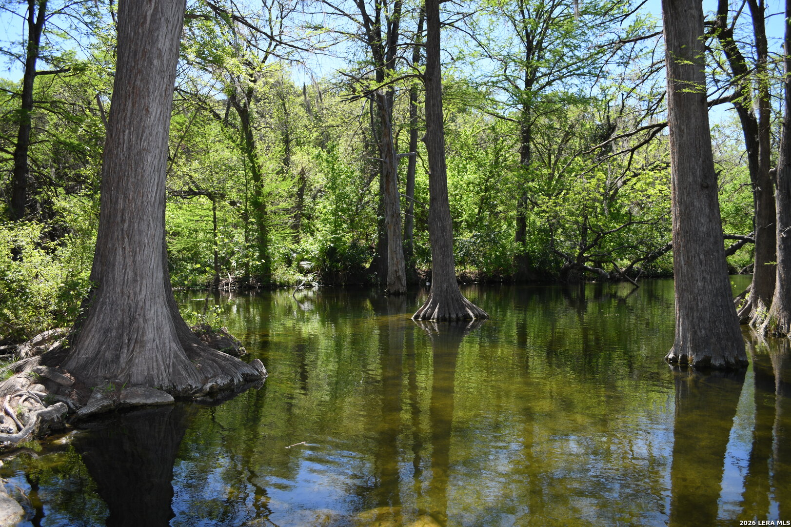 1361 Hidden Valley Drive Spring Branch, TX 78070 - Photo 22 of 28