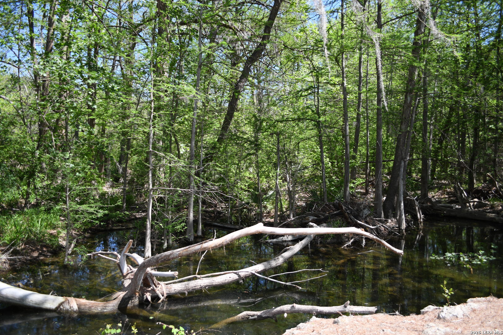 1361 Hidden Valley Drive Spring Branch, TX 78070 - Photo 24 of 28