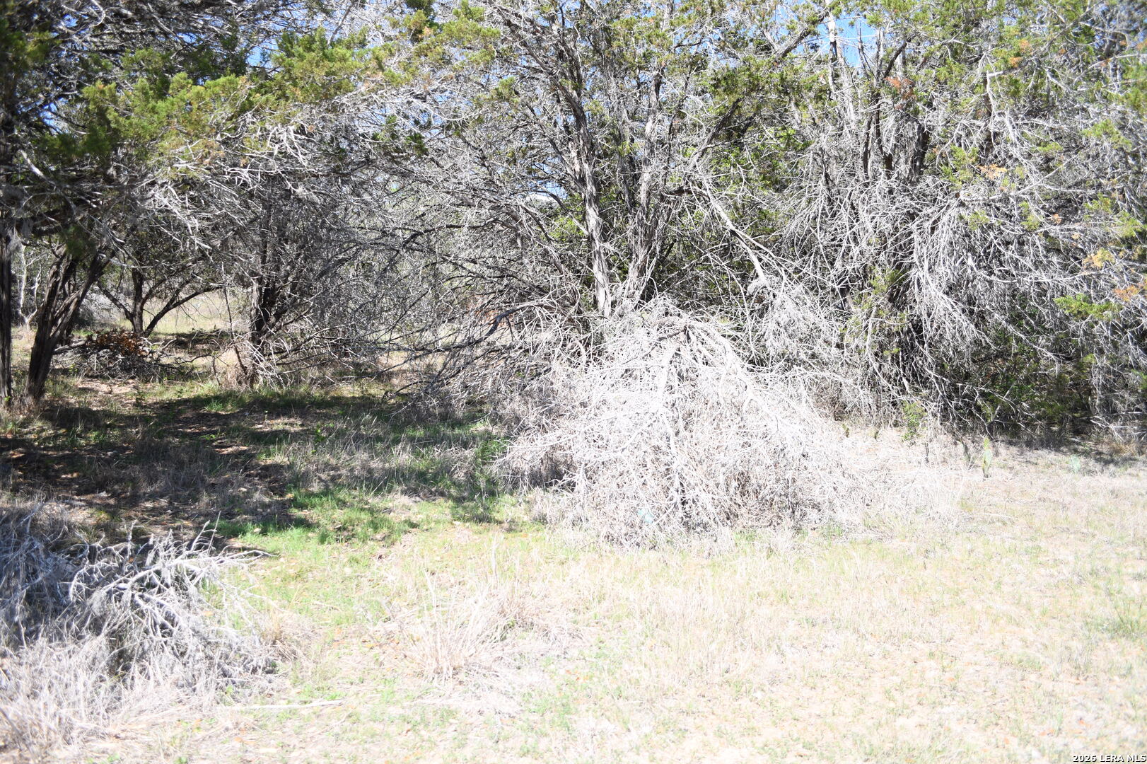 1361 Hidden Valley Drive Spring Branch, TX 78070 - Photo 10 of 28