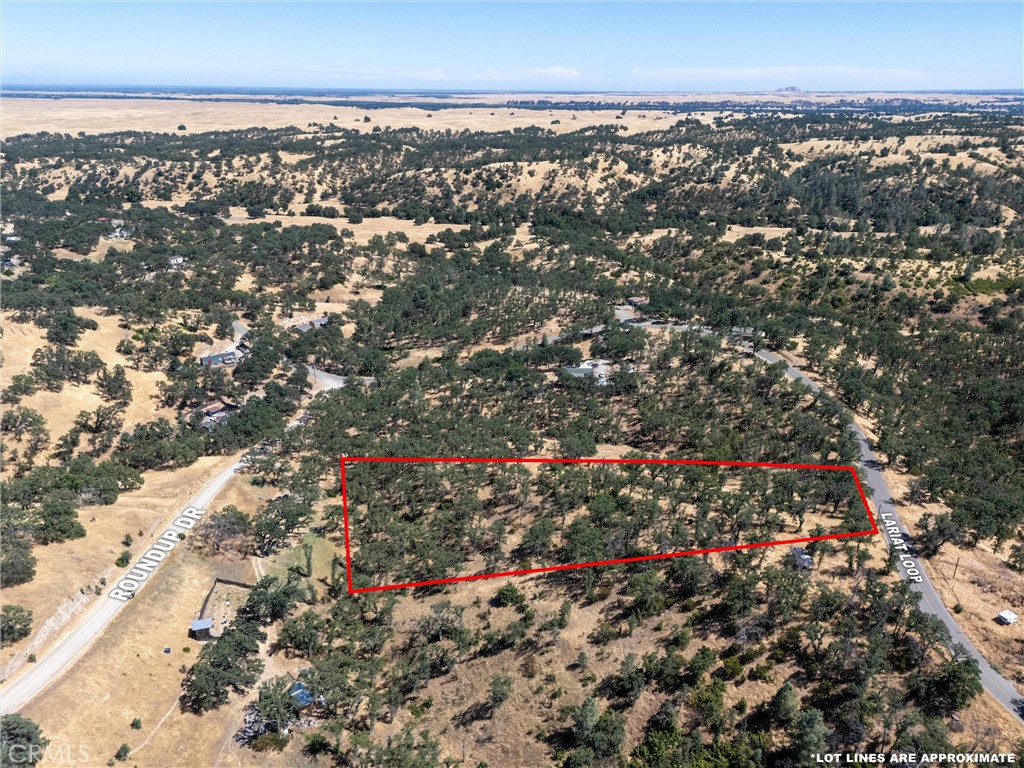 16398 Lariat Loop Corning, CA 96021 - Photo 4 of 15