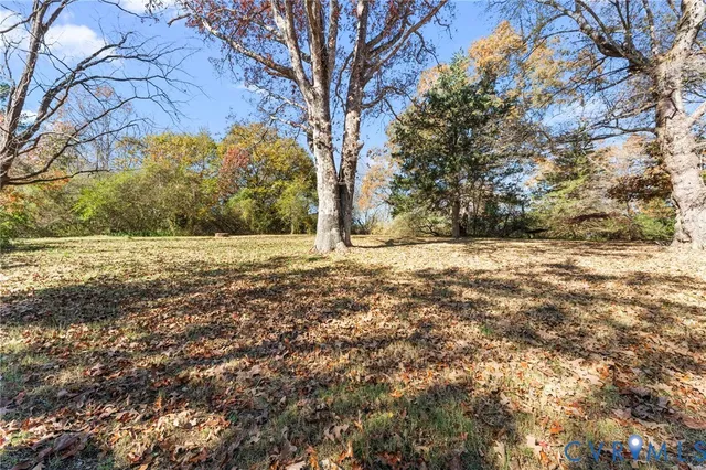 a view of yard with large trees