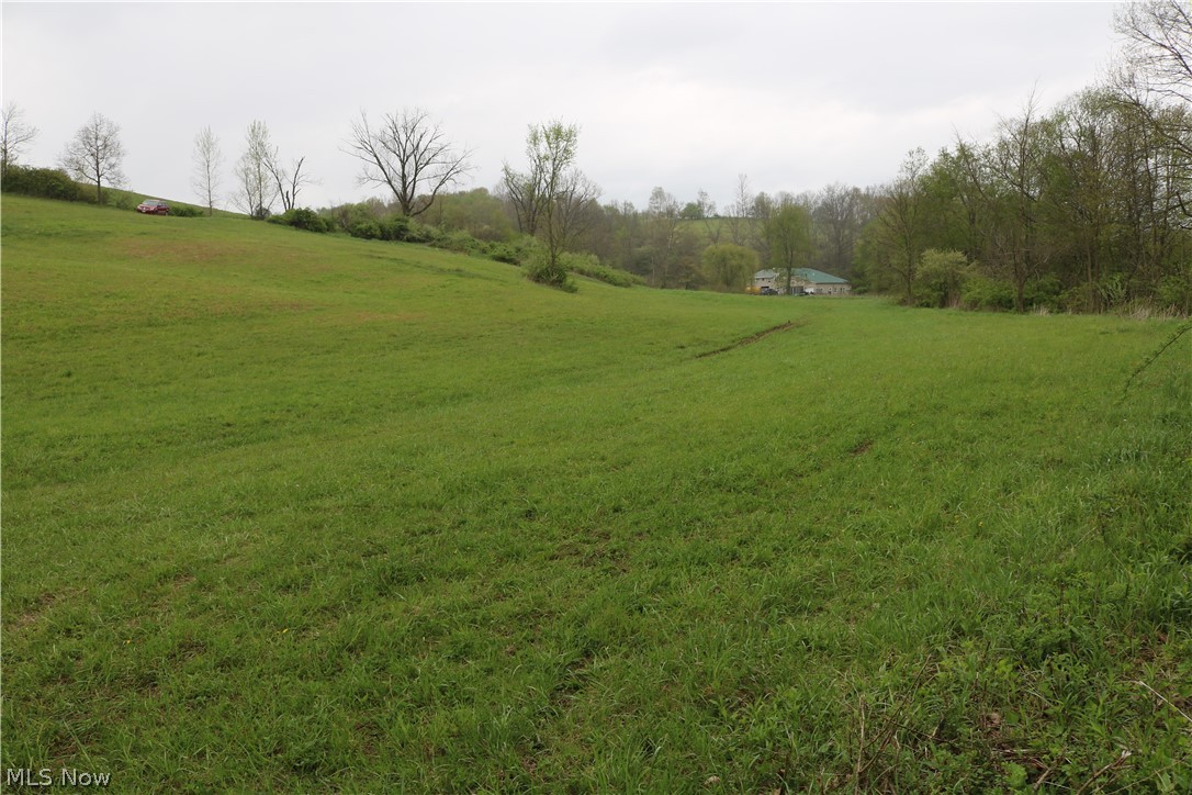 245 Township Road Newcomerstown, OH 43832 - Photo 2 of 8 Gallery Image 2