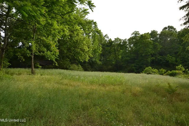 $975,000 | 443 Highway 305, Olive Branch, MS 38654