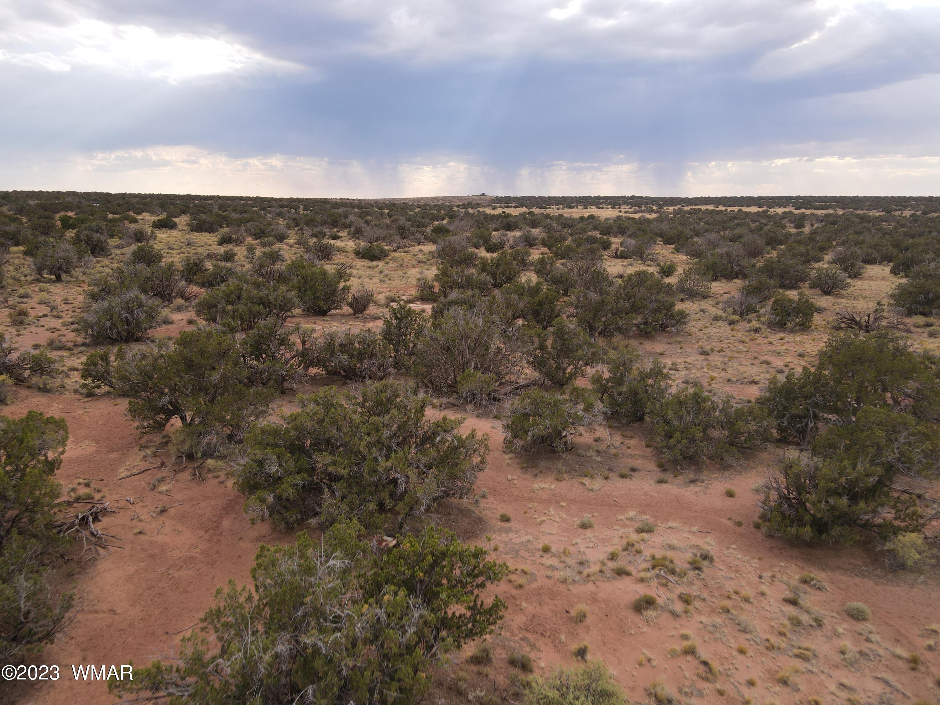 4412 Dusty Road Snowflake, AZ 85937 - Photo 3 of 19