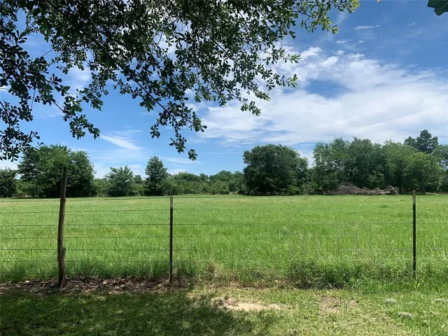 a view of a grassy field with trees