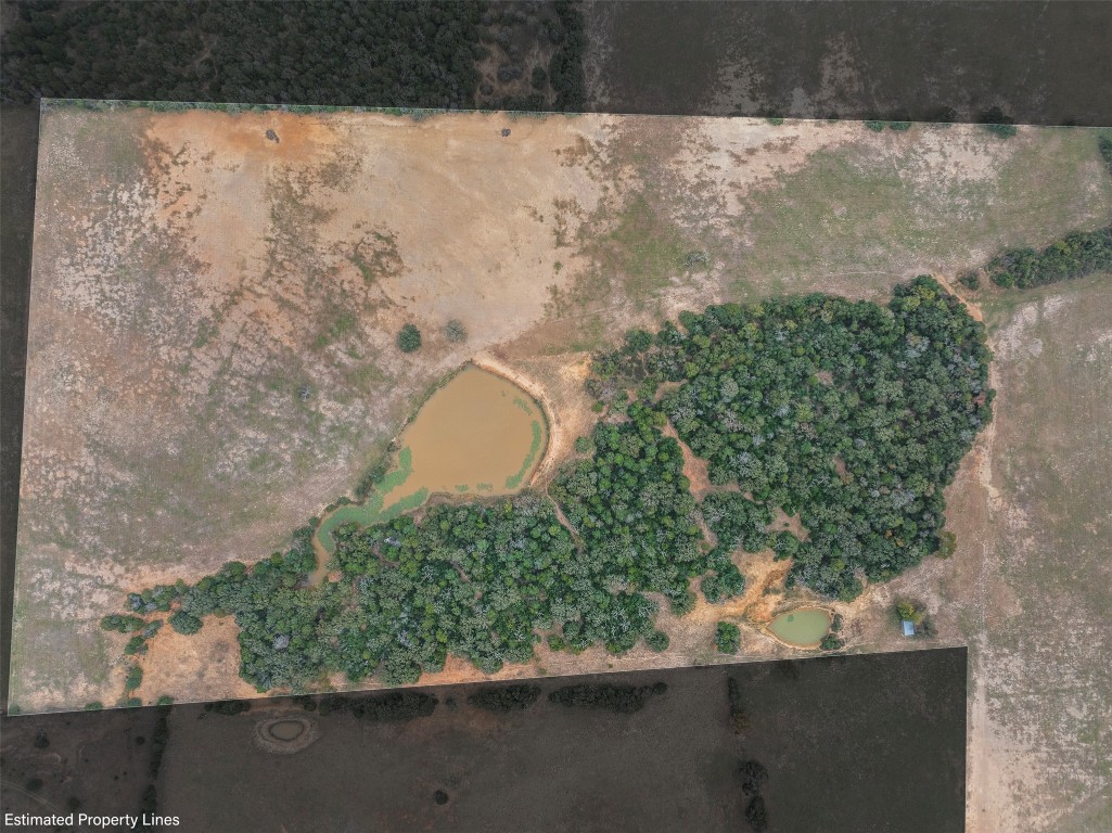 Tbd Stockade Ranch Road Paige, TX 78659 - Photo 30 of 37 a view of a yard with plants