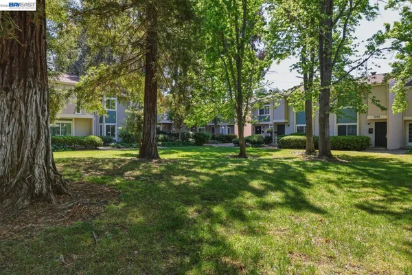 a view of a yard with plants and trees