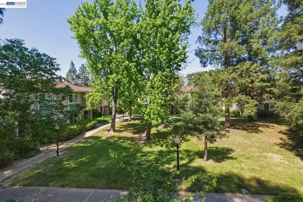 a backyard of a house with lots of green space