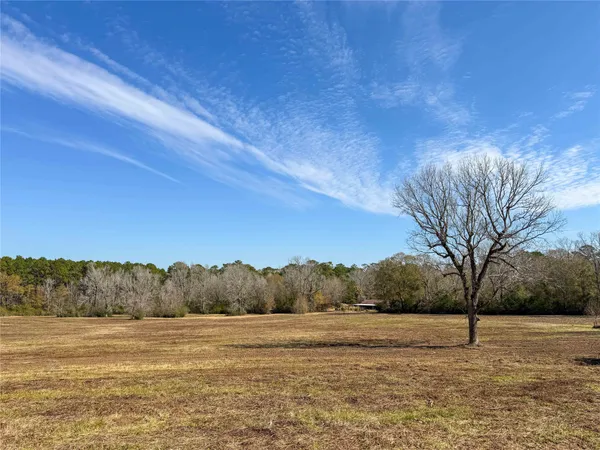 a view of a yard with trees in the background