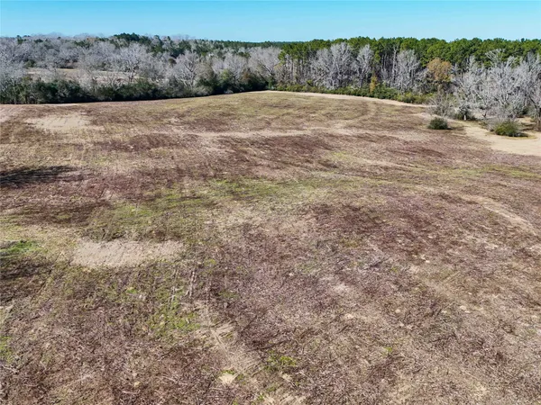 a view of an ocean beach