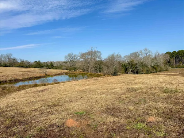 a view of a lake with trees