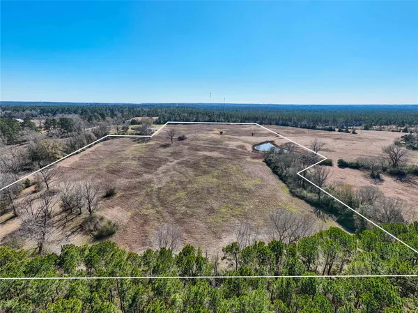 a view of a dry yard with wooden fence