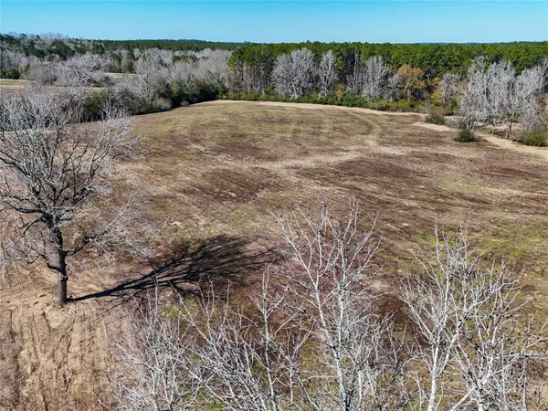 a view of a dry yard with trees