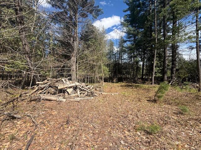 735 North Lakola Road Leroy, MI 49655 - Photo 1 of 15 IMG_5948