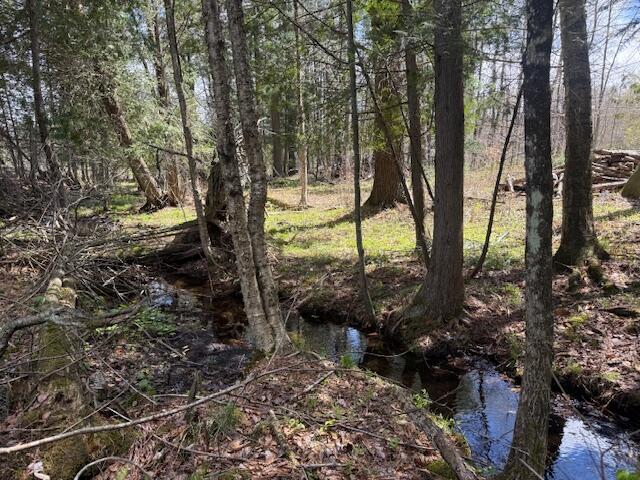735 North Lakola Road Leroy, MI 49655 - Photo 5 of 15 IMG_5936