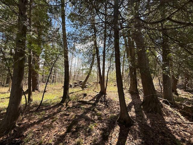 735 North Lakola Road Leroy, MI 49655 - Photo 6 of 15 IMG_5941