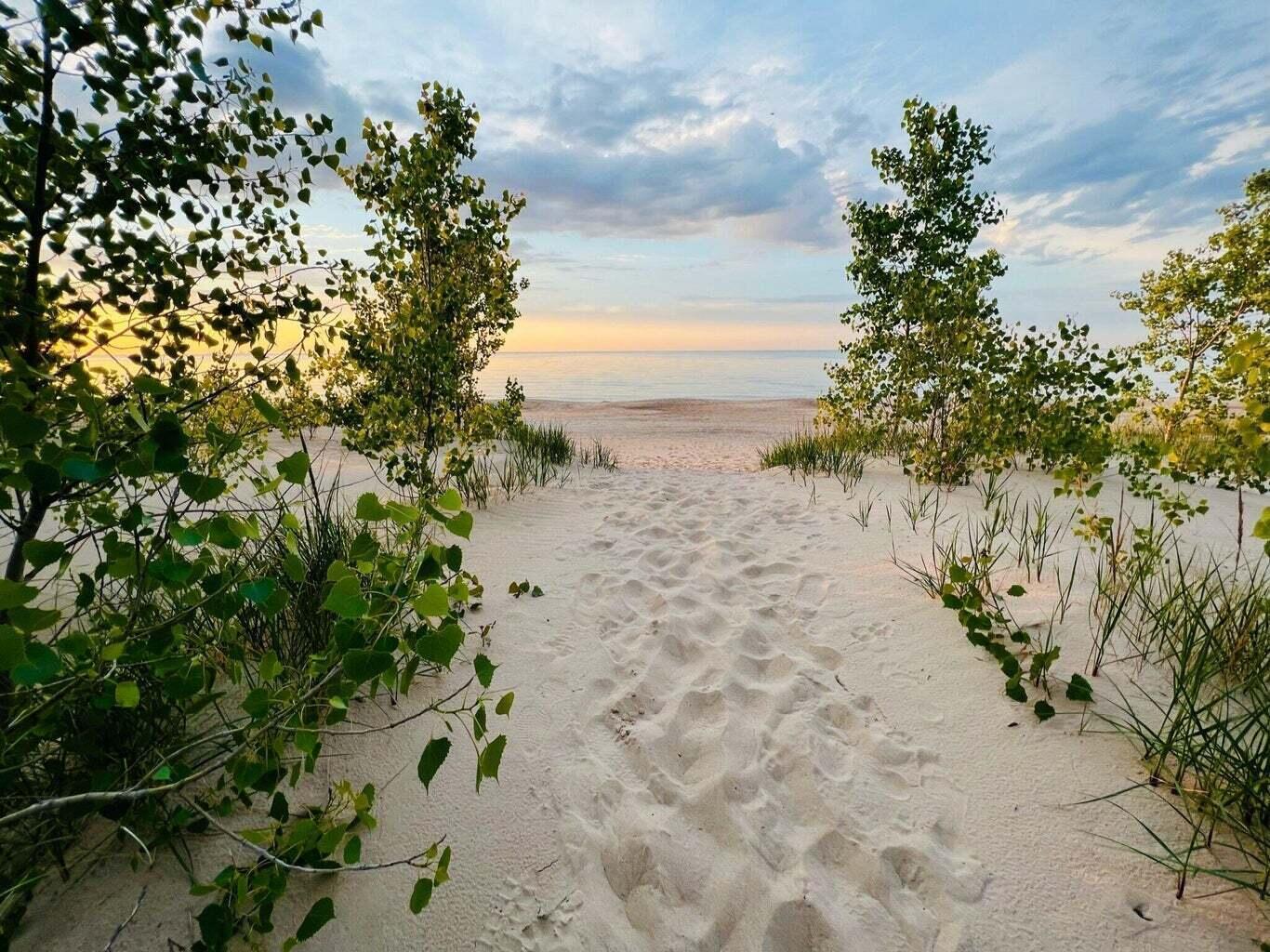 656 Montgomery Street Gary, IN 46403 - Photo 29 of 31 a view of a beach with a tree