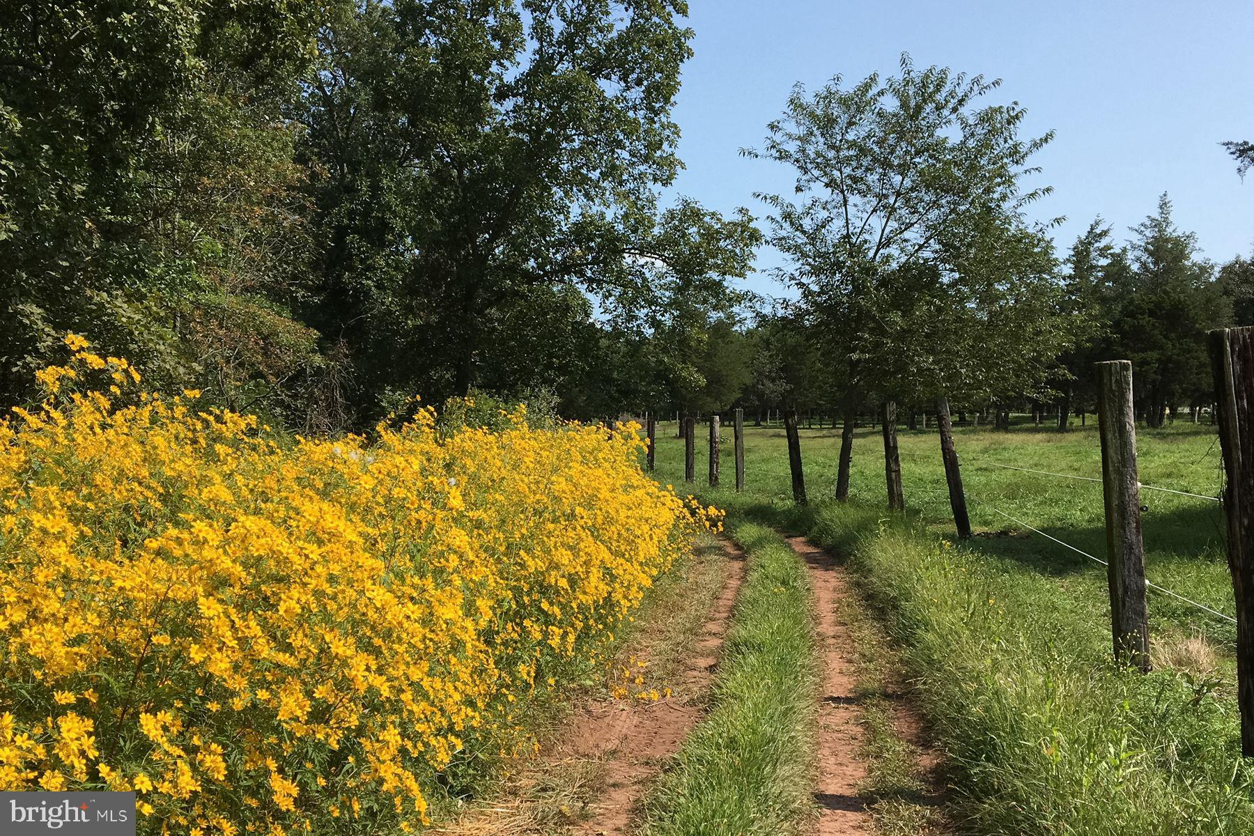 1015 Cherry Hill Road Princeton, NJ 08540 - Photo 24 of 35