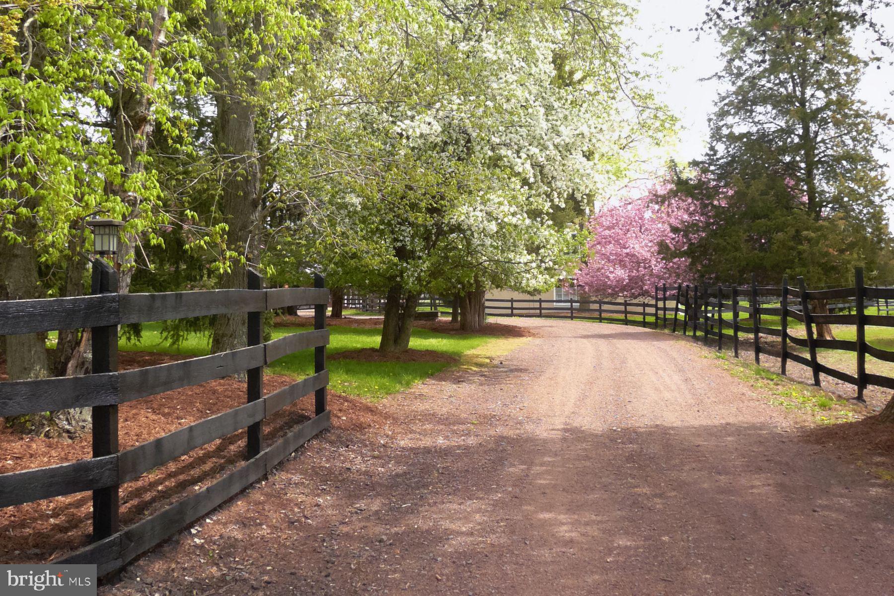 1015 Cherry Hill Road Princeton, NJ 08540 - Photo 25 of 35