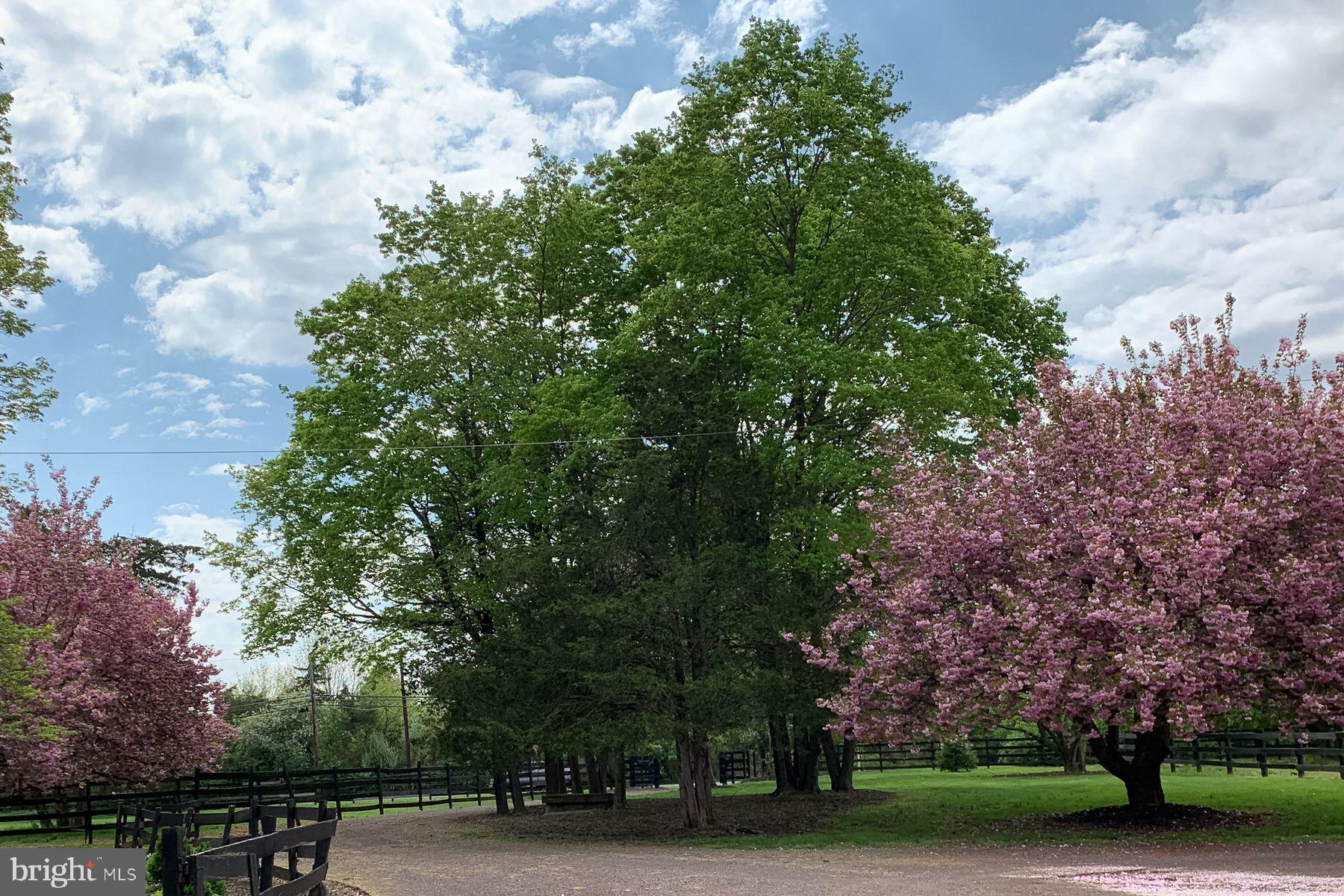 1015 Cherry Hill Road Princeton, NJ 08540 - Photo 26 of 35