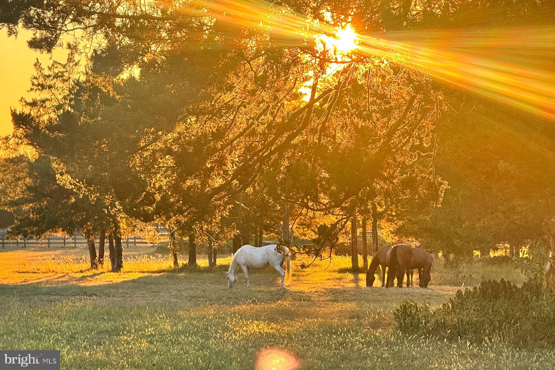 1015 Cherry Hill Road Princeton, NJ 08540 - Photo 35 of 35