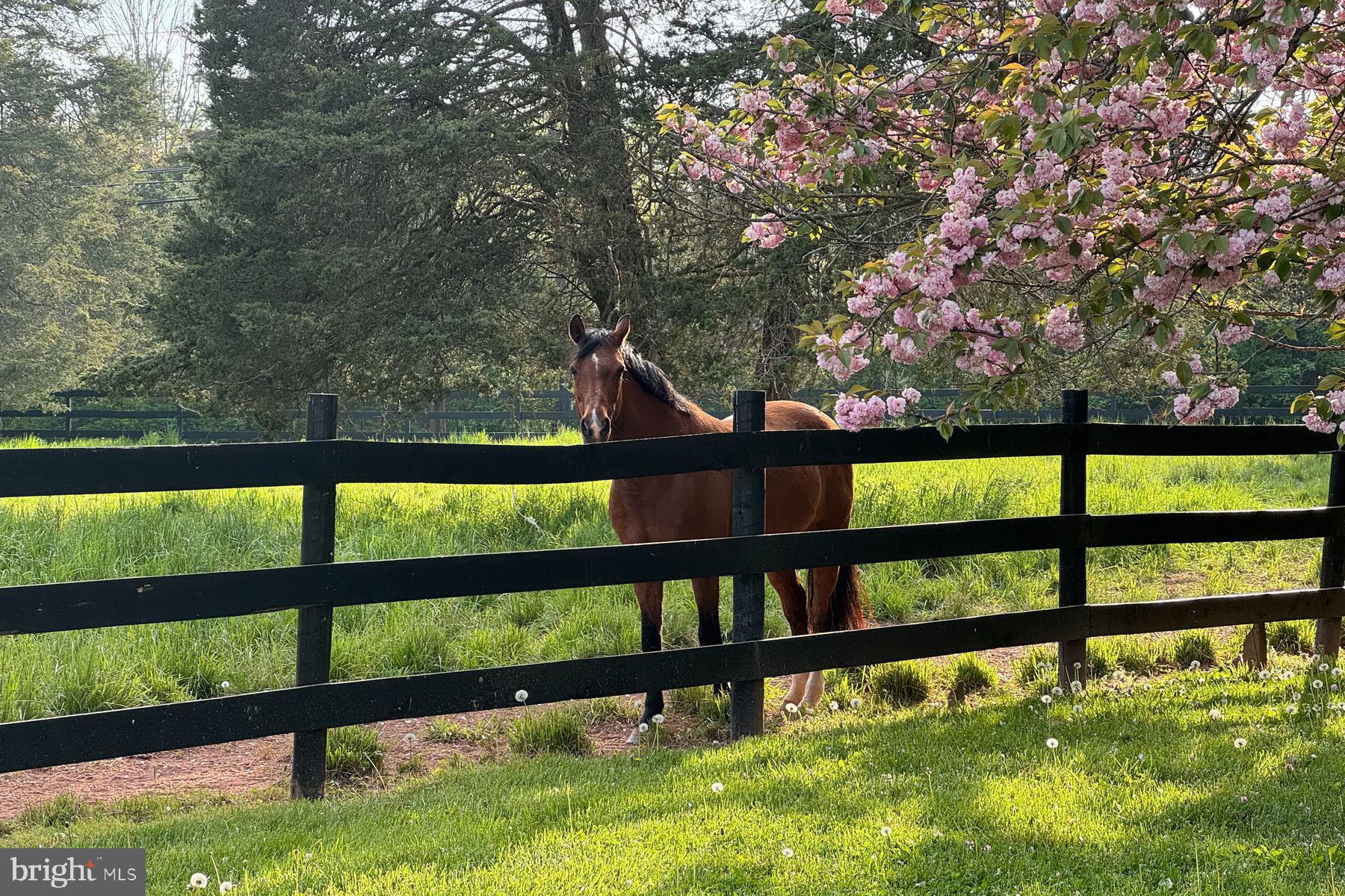 1015 Cherry Hill Road Princeton, NJ 08540 - Photo 7 of 35