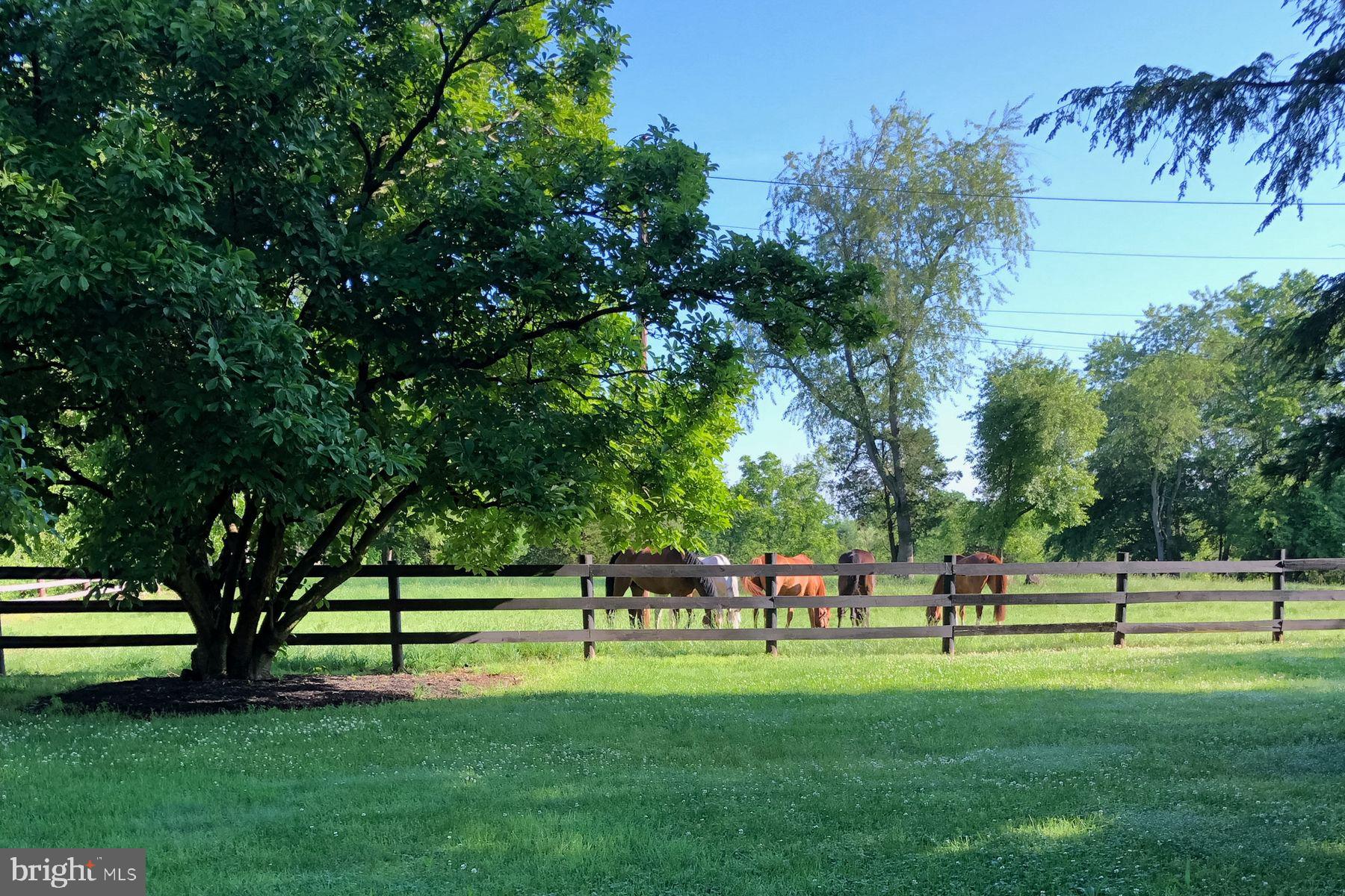 1015 Cherry Hill Road Princeton, NJ 08540 - Photo 8 of 35