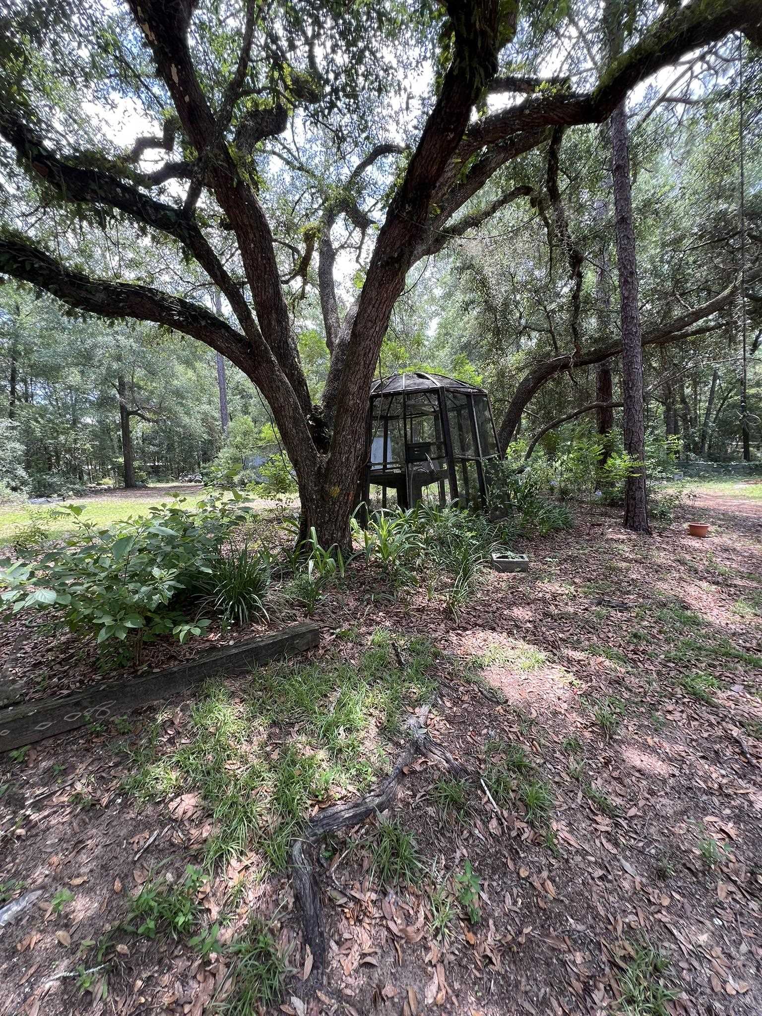 8043 Baby Farm Road Tallahassee, FL 32310 - Photo 20 of 22