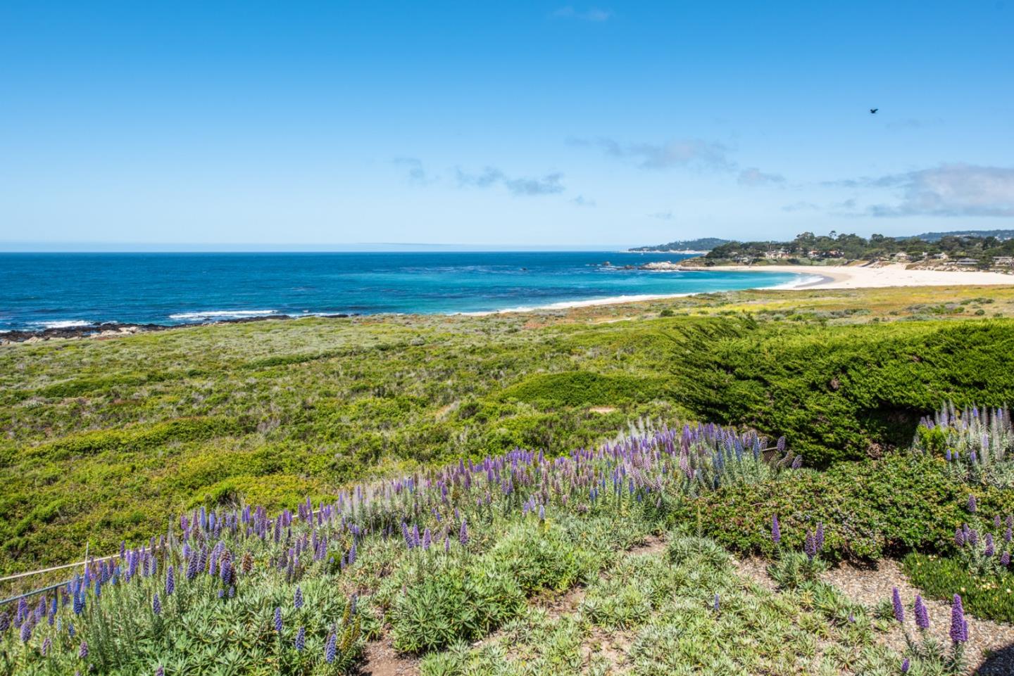 2715 Ribera Road Carmel, CA 93923 - Photo 10 of 14 a view of an ocean from a yard