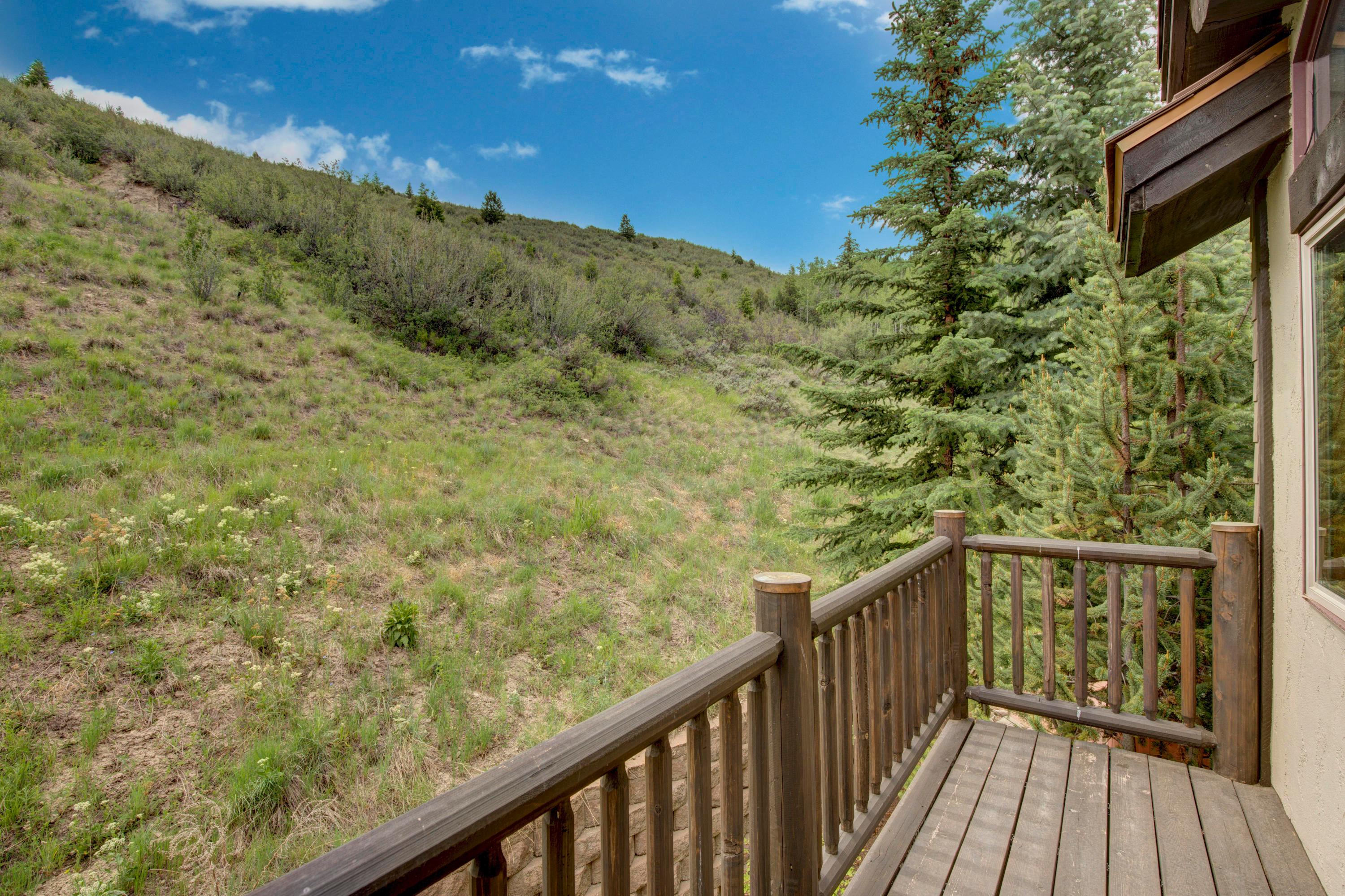 92 Knudson Ranch Road Edwards, CO 81632 - Photo 16 of 26 a view of a balcony with wooden floor and fence