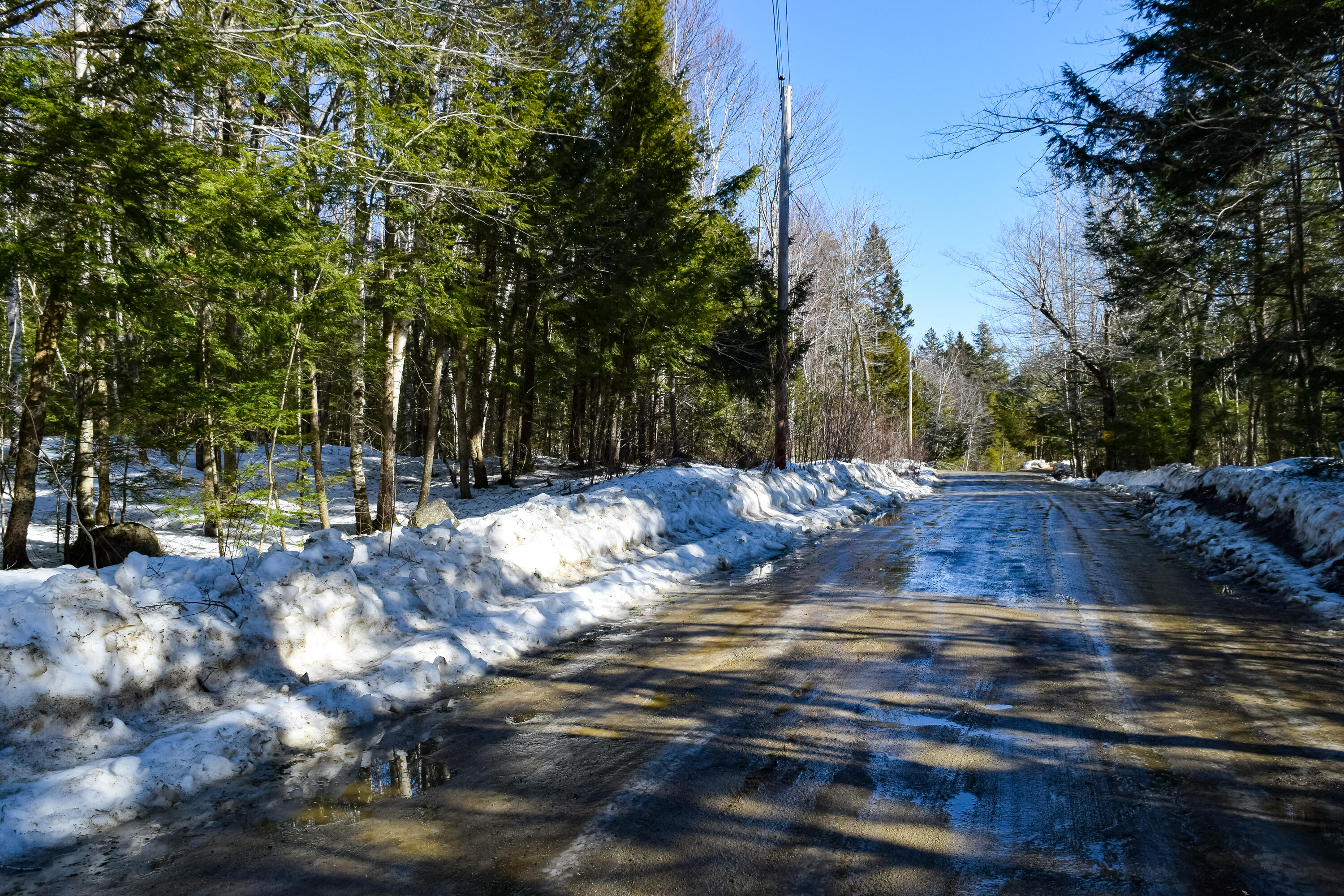 Lot 5 Happytown Road Ellsworth, ME 04605 - Photo 6 of 11 20230216-DSC_0005-2