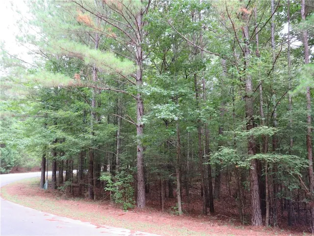 a view of a park with large trees and wooden fence