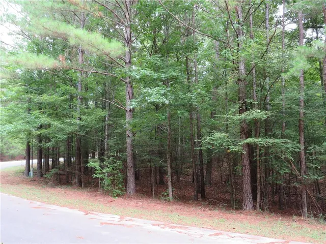 a view of outdoor space and yard