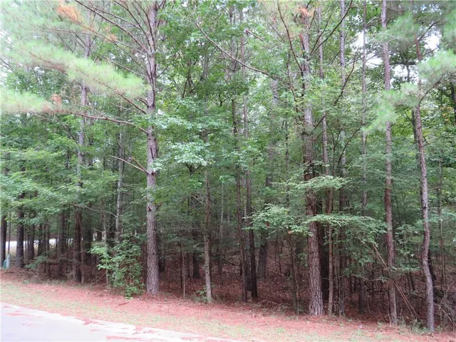 a view of a forest with trees