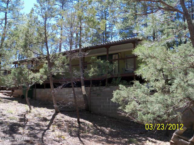 4545 Hidden Way Show Low, AZ 85901 - Photo 11 of 27