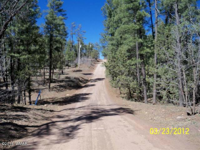 4545 Hidden Way Show Low, AZ 85901 - Photo 23 of 27