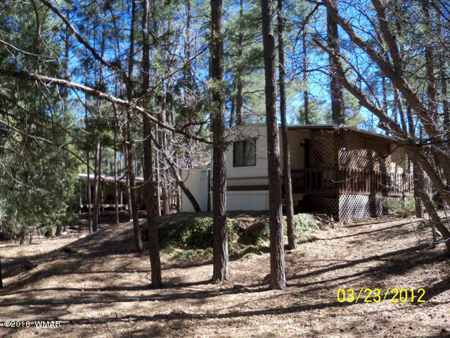 4545 Hidden Way Show Low, AZ 85901 - Photo 24 of 27
